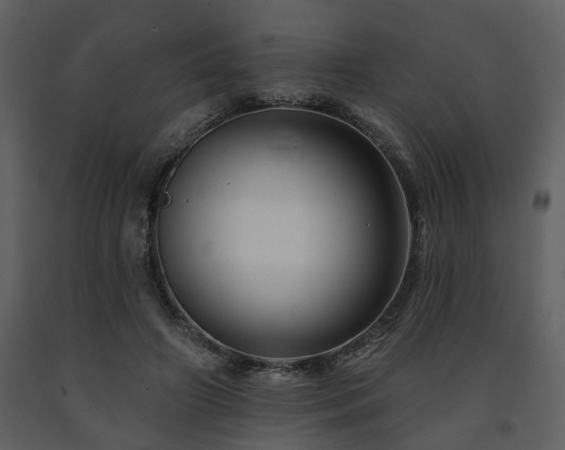 X0000091700498200708241226