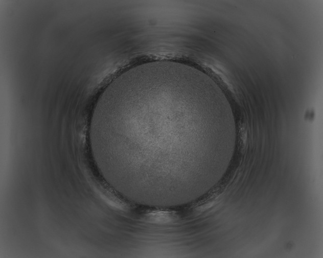 X0000091700499200708241226