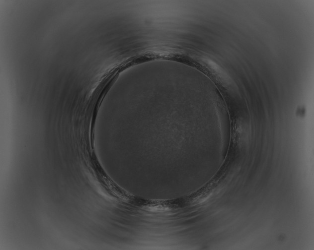 X0000091700500200708241226