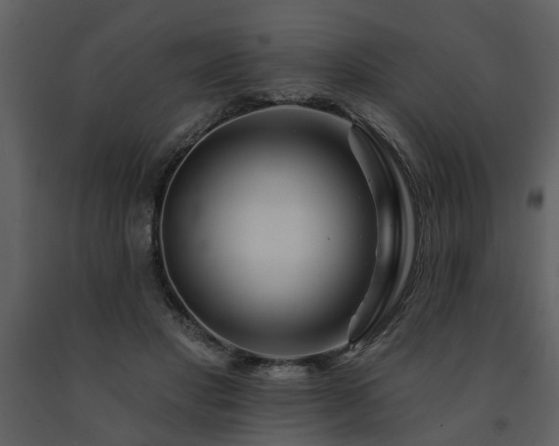 X0000091700501200708241226