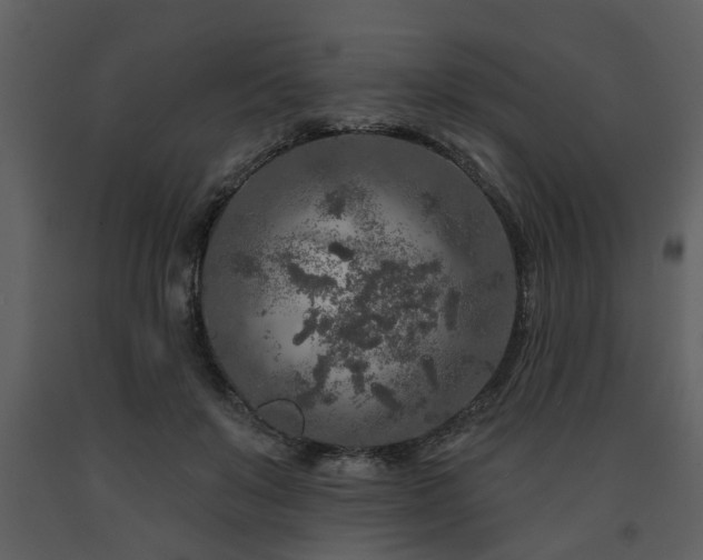 X0000091700503200708241226