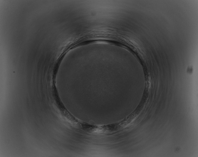X0000091700504200708241226