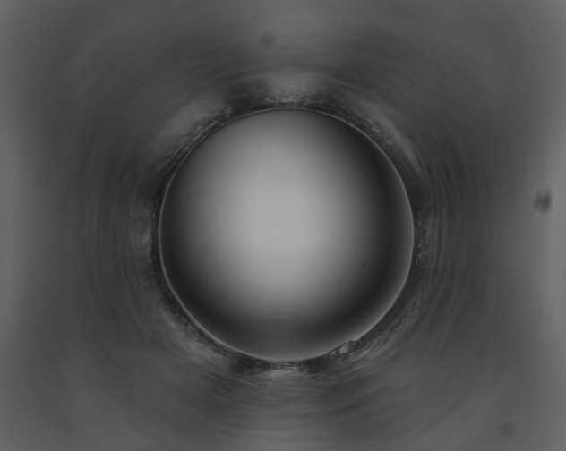 X0000091700505200708241226