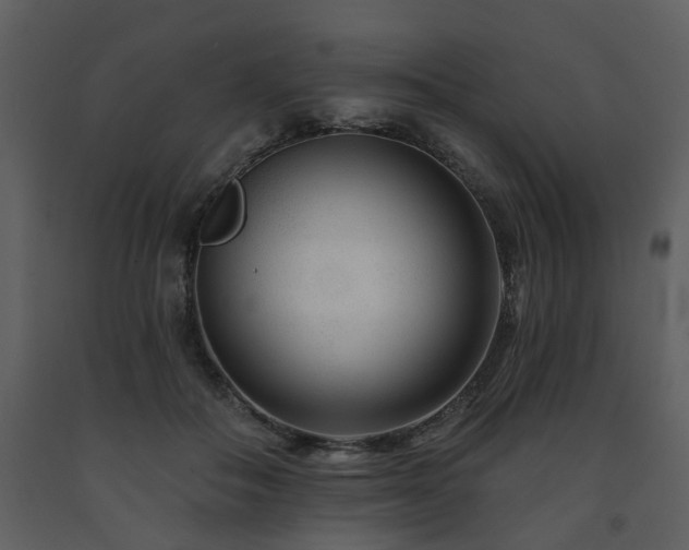 X0000091700506200708241226