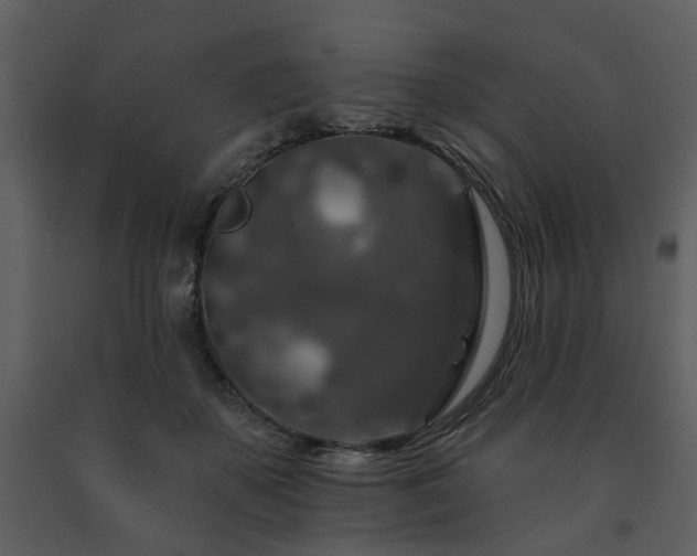 X0000091700507200708241226