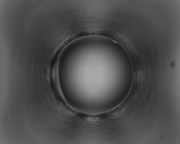X0000091700508200708241226
