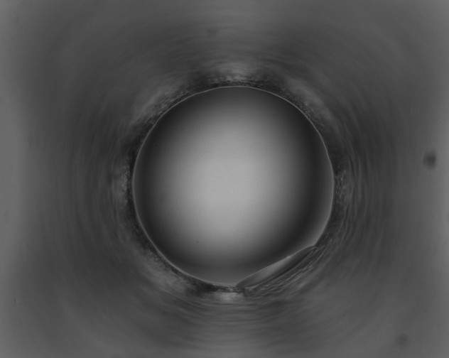 X0000091700509200708241226