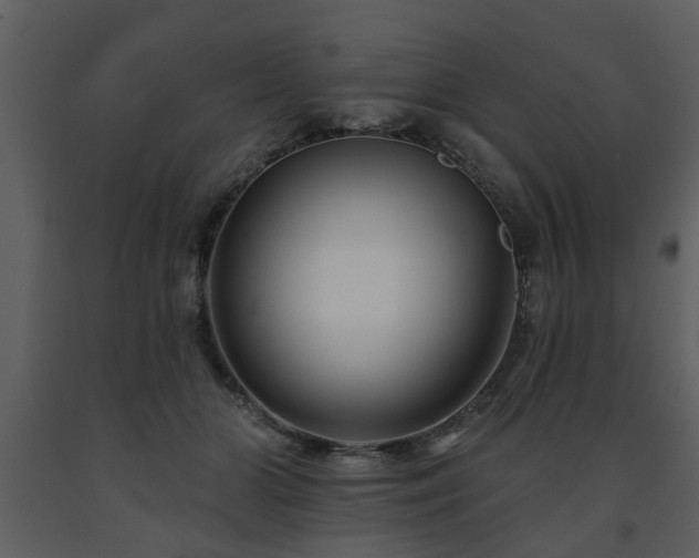 X0000091700510200708241226