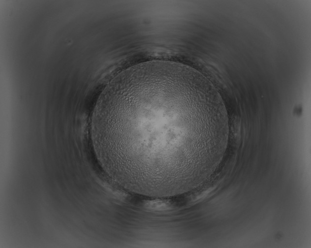 X0000091700511200708241226