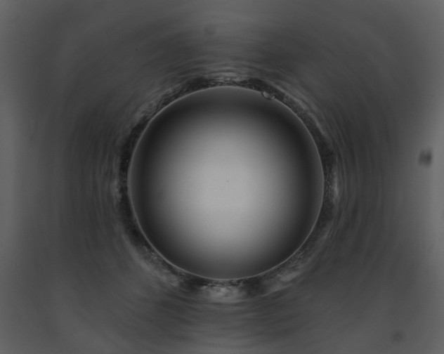X0000091700512200708241226