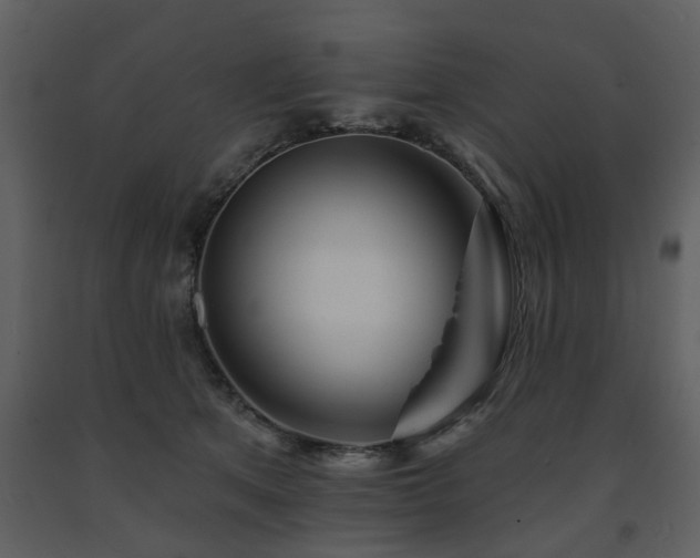 X0000091700513200708241226