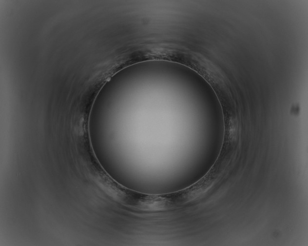 X0000091700514200708241226