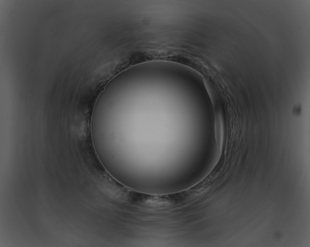 X0000091700515200708241226