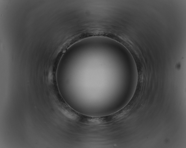 X0000091700516200708241226