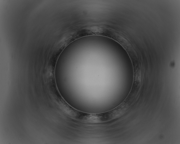 X0000091700518200708241226