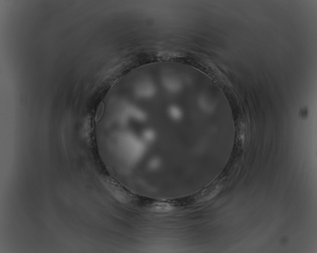 X0000091700519200708241226