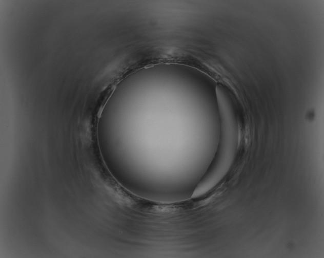 X0000091700520200708241226
