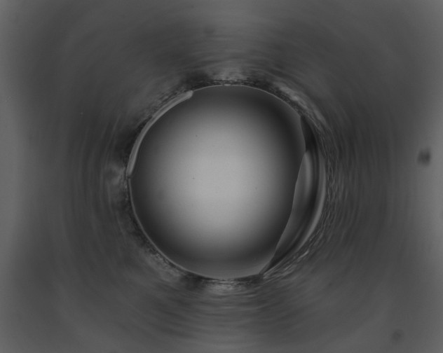 X0000091700521200708241226