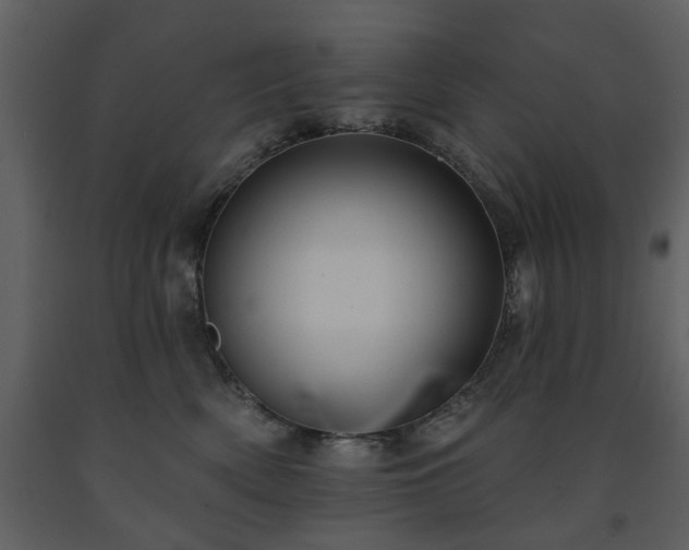 X0000091700522200708241226