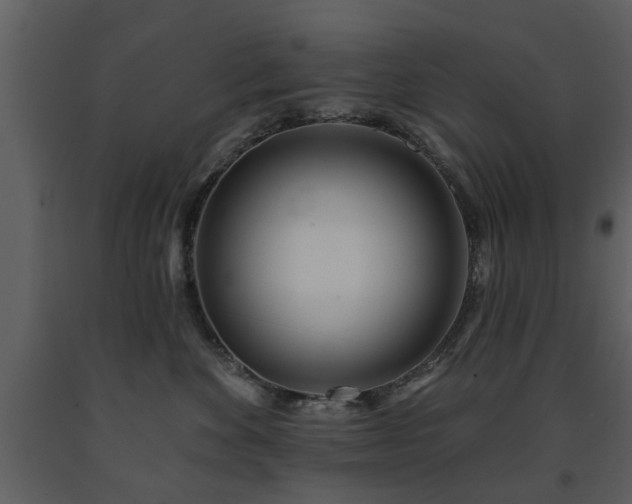 X0000091700524200708241226