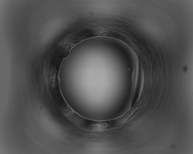 X0000091700525200708241226