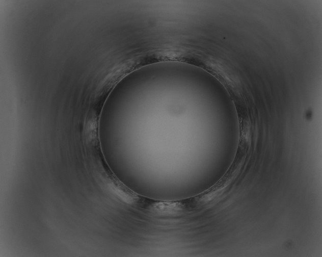 X0000091700526200708241226