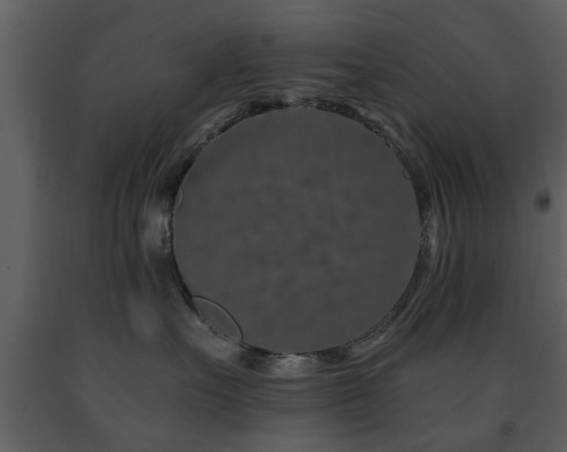 X0000091700527200708241226