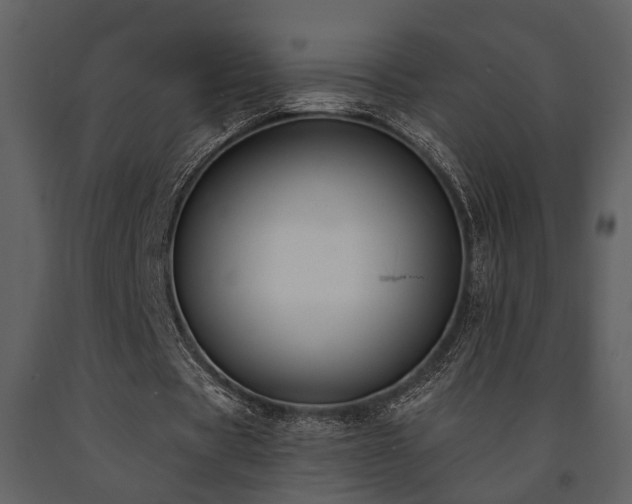 X0000091700529200708241225