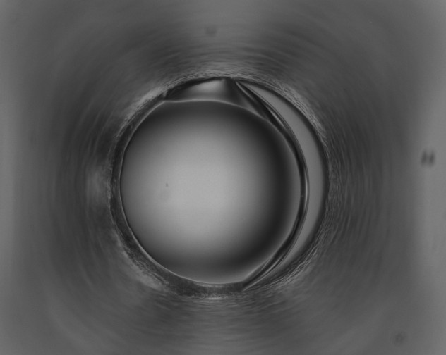 X0000091700530200708241225