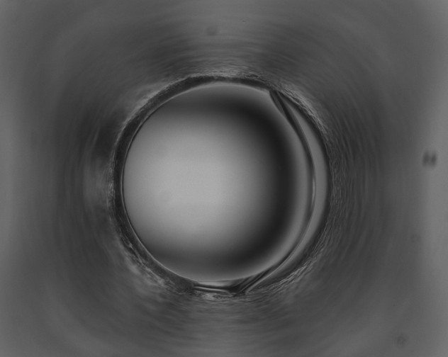 X0000091700532200708241225