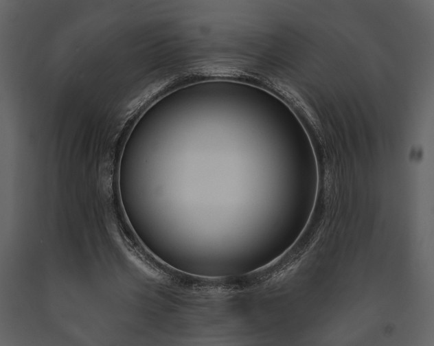 X0000091700533200708241225