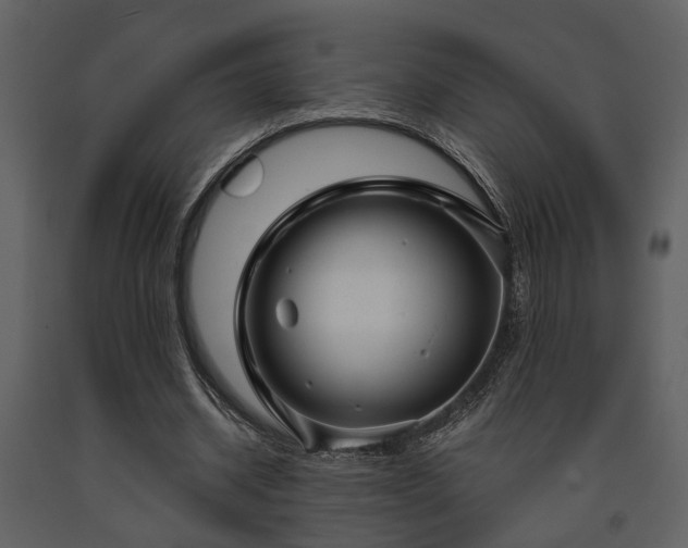 X0000091700534200708241225