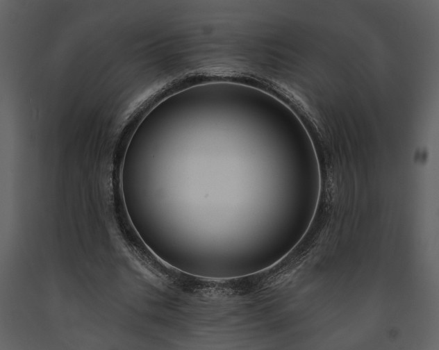 X0000091700535200708241225