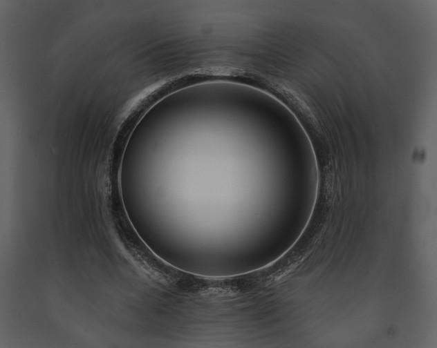 X0000091700536200708241225