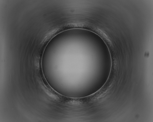 X0000091700537200708241225