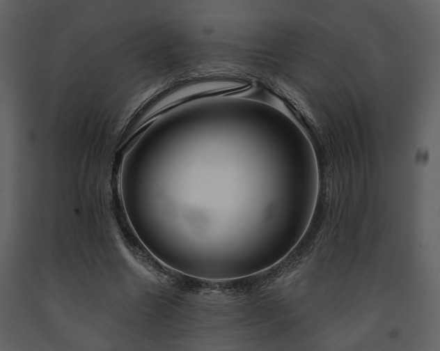 X0000091700538200708241225