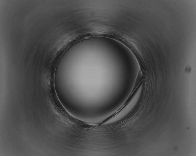 X0000091700539200708241225
