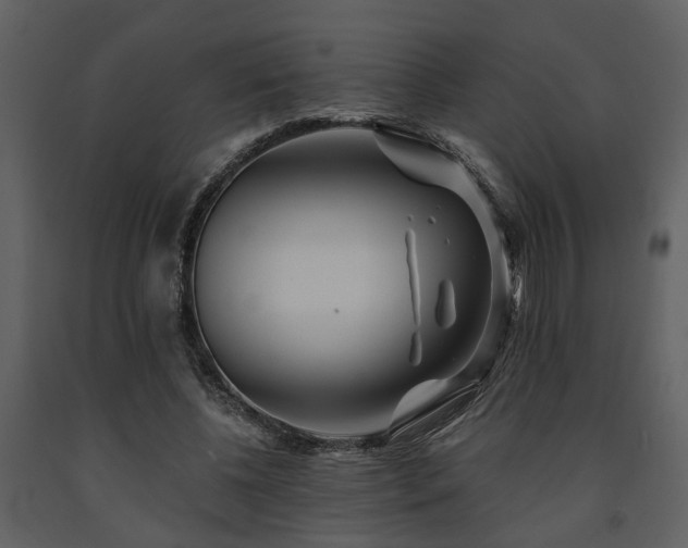 X0000091700540200708241225