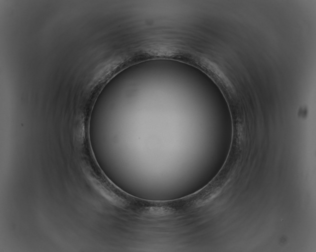X0000091700541200708241225
