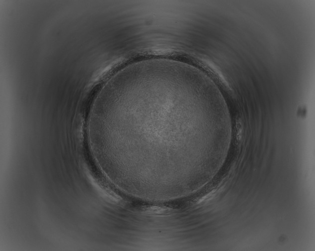 X0000091700542200708241225
