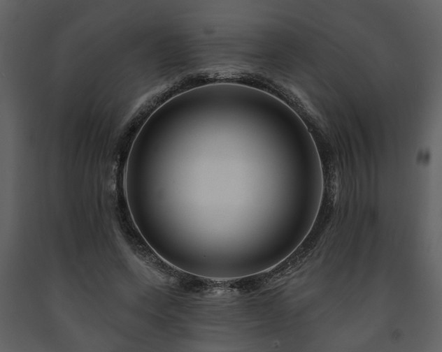 X0000091700543200708241225