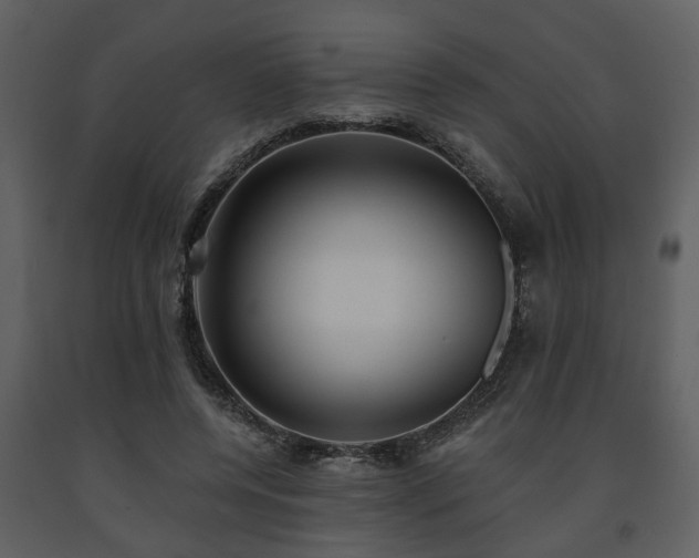 X0000091700544200708241225