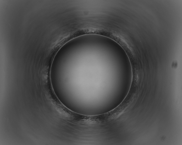 X0000091700545200708241225