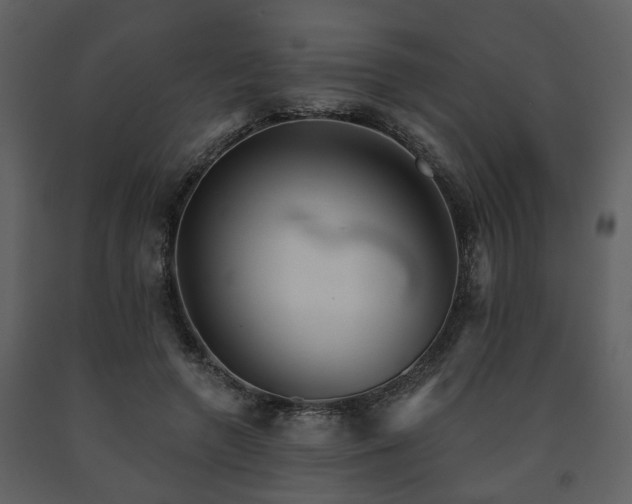 X0000091700546200708241225