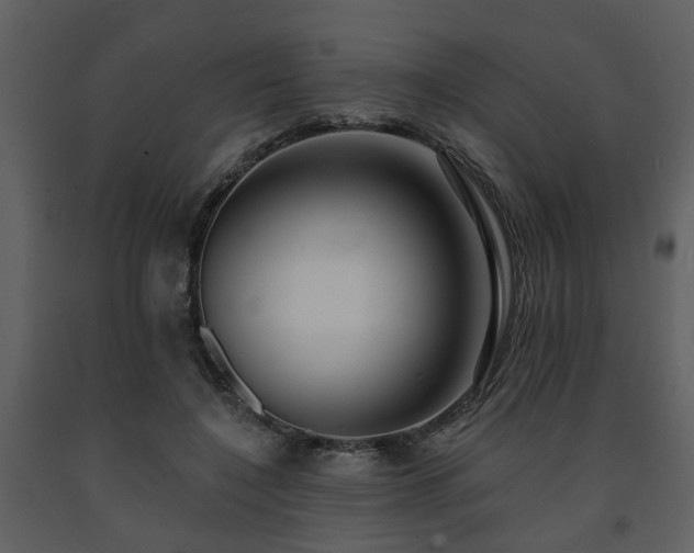 X0000091700548200708241225