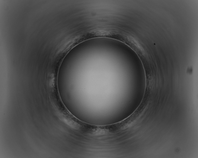 X0000091700549200708241225