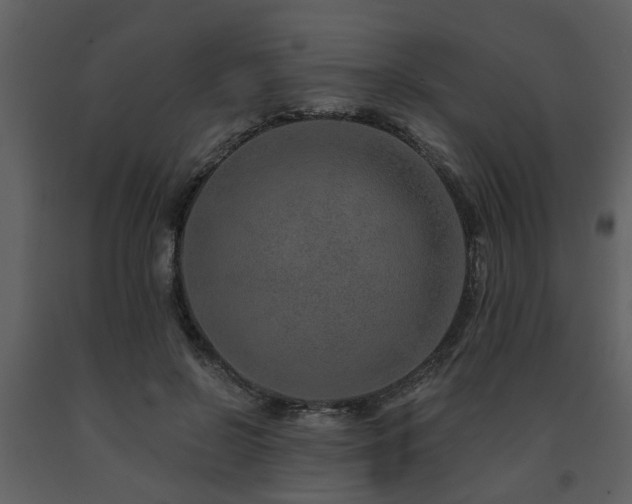 X0000091700550200708241225