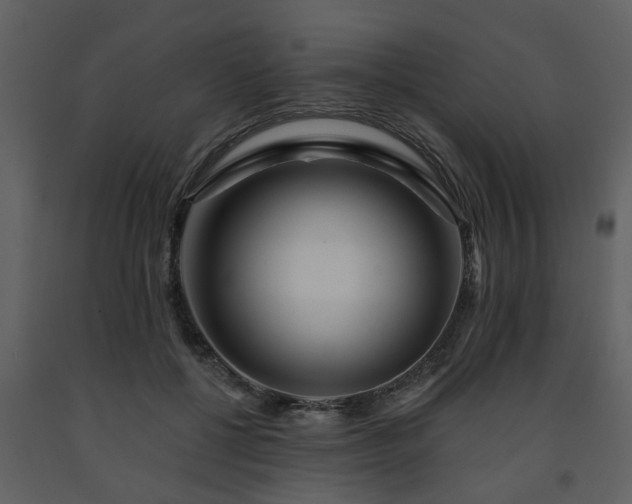X0000091700552200708241225
