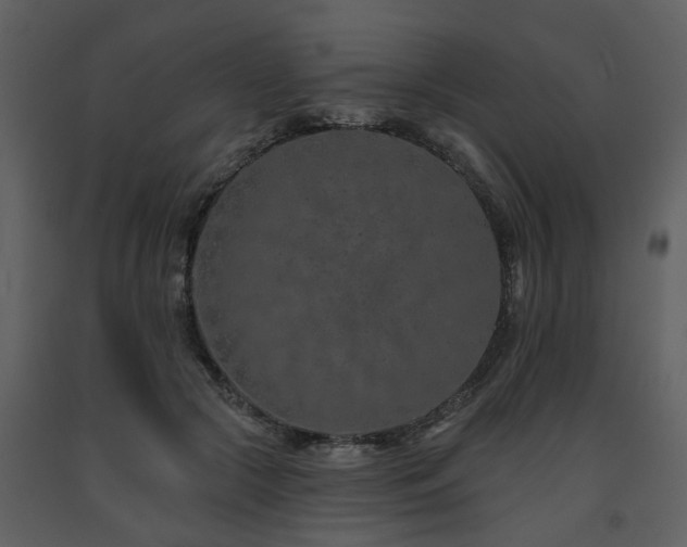 X0000091700553200708241225