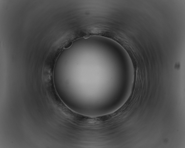 X0000091700555200708241225